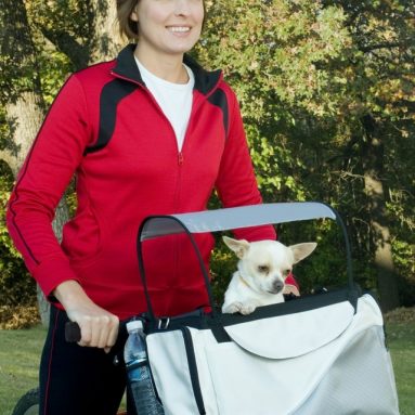 Pet Bicycle Basket