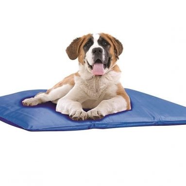 Pet Cooling Bed Large Indoor or Outdoors