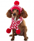 Pet Costume Accessories Knit Christmas