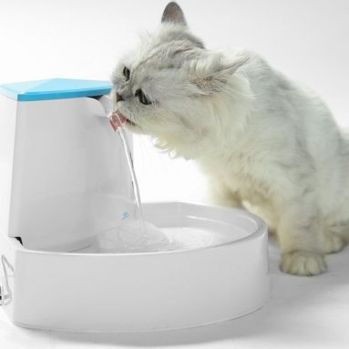 Pet Fountain