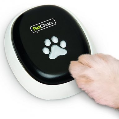 PetChatz PawCall