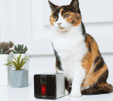 Petcube Play 1080p Video