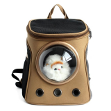Pettom Innovative Traveler Bubble Backpack