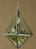 Hanging Terrarium  Tetrahedron