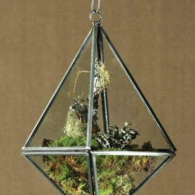 Hanging Terrarium  Tetrahedron