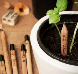Plant Pencils