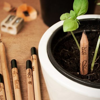 Plant Pencils