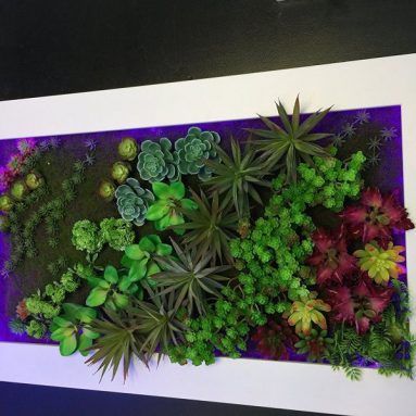 “Plant and Flower on the Wall” Change Color LED Night Romantic Change Color Light