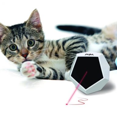 Playdot! Cat Laser Toy- 4 Operating Modes Make this Cat Toy Interactive!