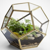 Polygon Glass Terrarium