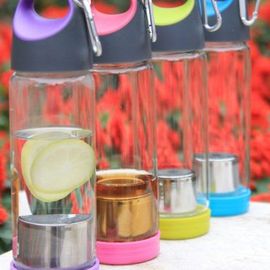Portable Glass Water Bottle with Sleeve Tea Fruit Infuser