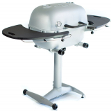 Portable Kitchen Charcoal Grill Smoker Combo