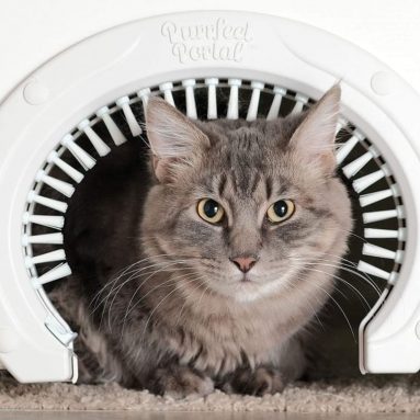 Portal Cat Door for Interior Doors