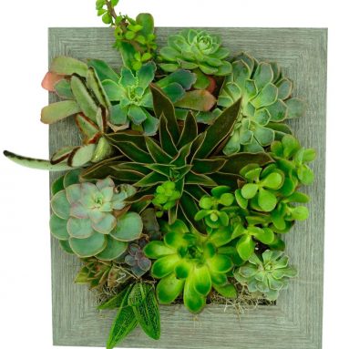 Portrait Gardens Wall Planter