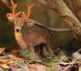 Poseable Needle Felted Deer Sculpture