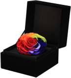 Preserved Fresh Flower Rose Gift Box Rainbow Rose