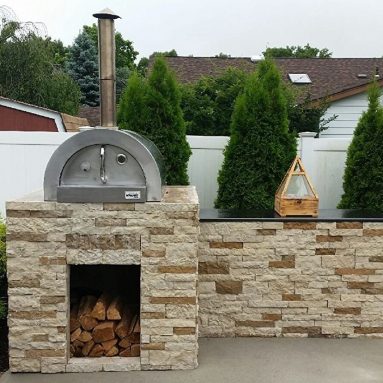Professional Stainless Steel Wood Fired Pizza Oven