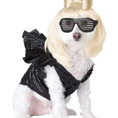 Pup-A-Razzi Pop Sensation Dog Costume