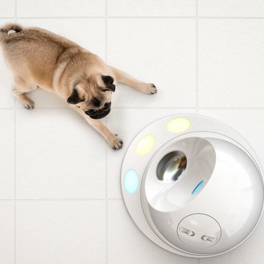 Puzzle Feeder That Stays Challenging Forever