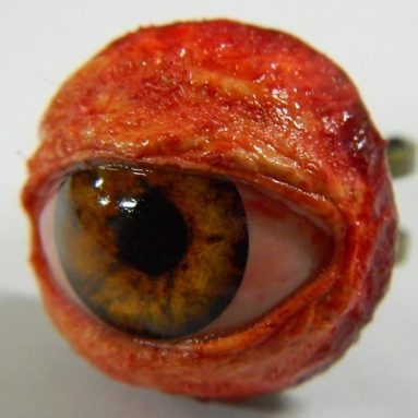 Realistic Life Size Human/zombie Eyeball