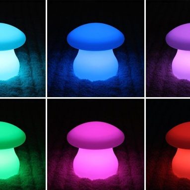 Rechargeable and Cordless Decorative Light