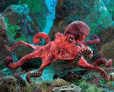 Red Octopus Hand Puppet