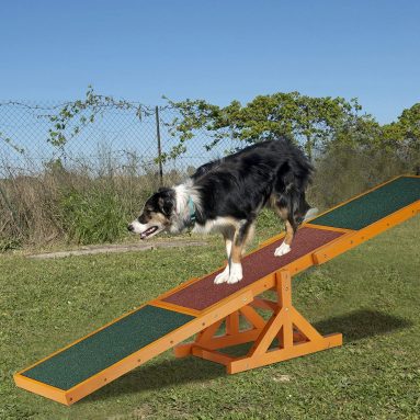 Relaxdays Colourful Wooden Pet Seesaw for Big and Small Dogs