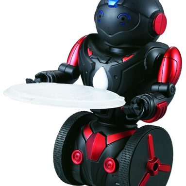 Remote Control Robot Toy for Kids
