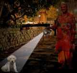 Retractable Dog Leash with 4 Bright LED Lights and a Built-in Poop Bag Dispenser