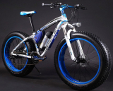 Electric Bike 36V 350W Lithium Battery Electric Mountain Bicycle