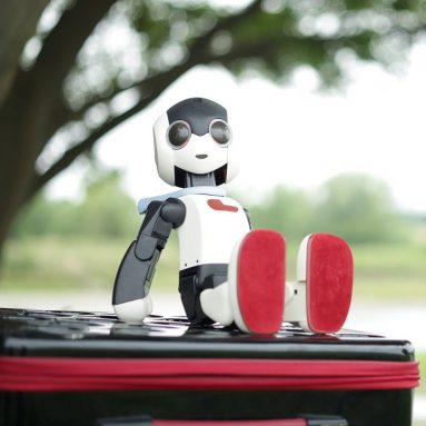 Robi assembly agency version