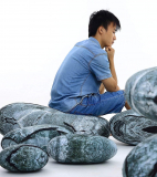 Rocks Stone Pebble Living Pillows