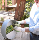 Round Hanging Wall Vase Planter