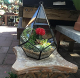 Rustic Indoor / Outdoor Geometric Glass Diamond Shaped Terrarium