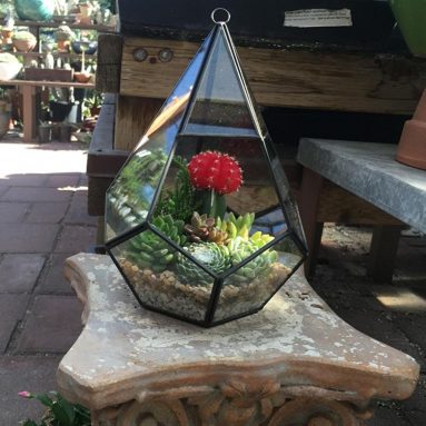 Rustic Indoor / Outdoor Geometric Glass Diamond Shaped Terrarium