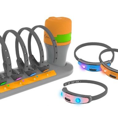SEAL SwimSafe Swim Monitor System