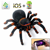 SPIDER RC Tarantula