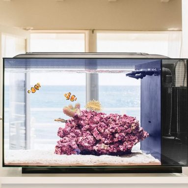 Saltwater Aquarium