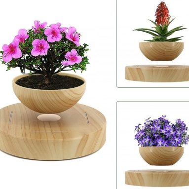 Segreto LED Levitating Flower Floating Pot