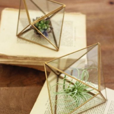 Set of 2 Glass and Metal Multi Faceted Terrariums