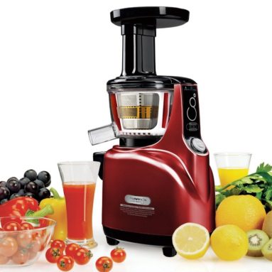 Silent Upright Masticating Juicer