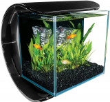 Silhouette Square Glass Aquarium Kit