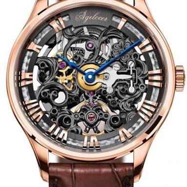 Skeleton Top Brand Luxury Automatic Watch
