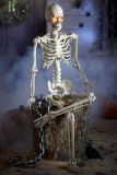 Skeleton with LED Illumination