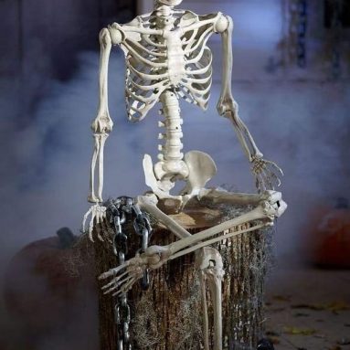 Skeleton with LED Illumination