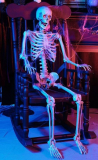 Skeleton with LED Illumination