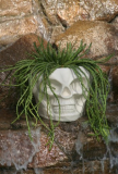 Skull Tiki Planter