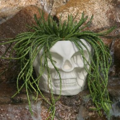 Skull Tiki Planter