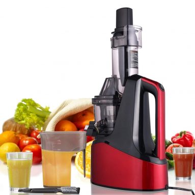 Slow Masticating Juicer Extractor