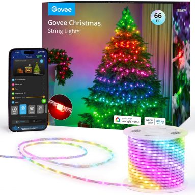 Black Friday Deal: Govee RGBIC Smart String Lights – Customize Your Home with AI-Powered Lighting